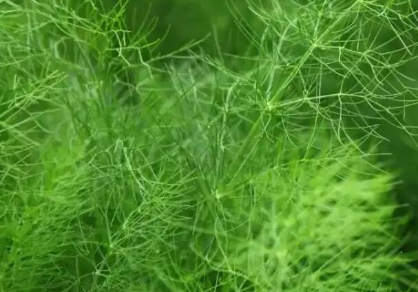 1656072688490761.jpg 2+.jpg