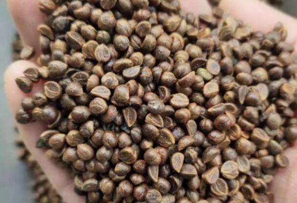 1656073660651003.jpg 0.jpg