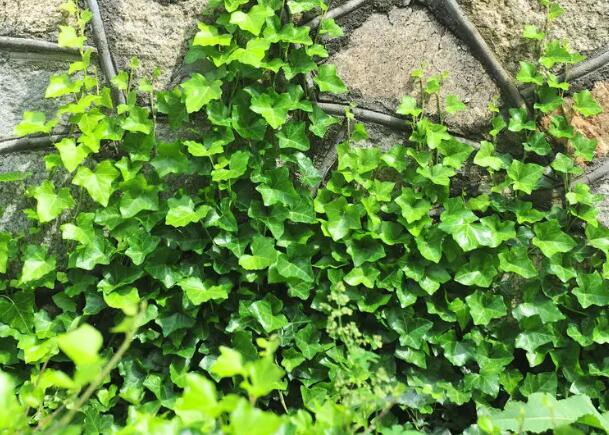 1656073678835022.jpg 0+.jpg