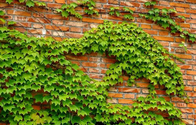 1656073689437174.jpg 0++.jpg