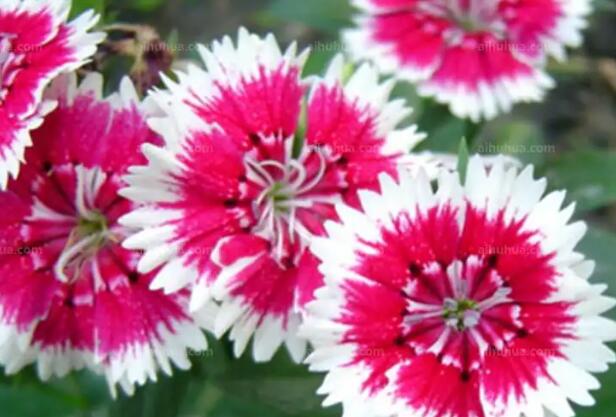 1656337811703994.jpg 6.jpg