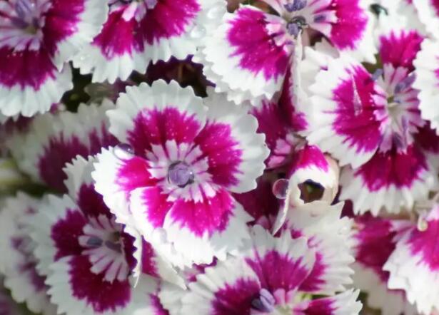 1656337826937751.jpg 6+.jpg