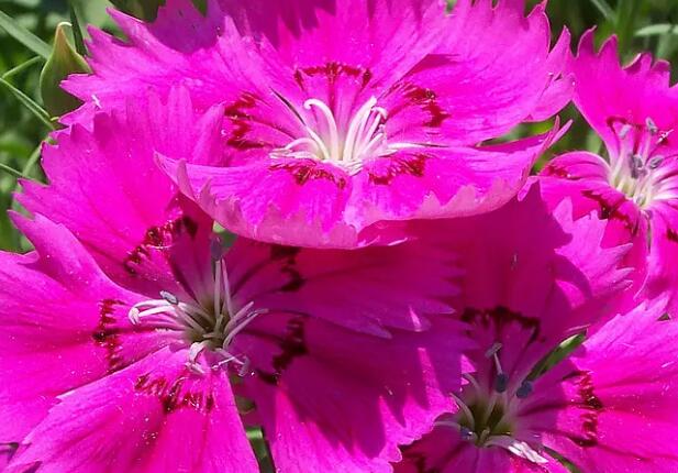 1656337837187203.jpg 6++.jpg