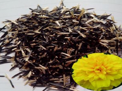 萬(wàn)壽菊種子收取時(shí)間是幾月？