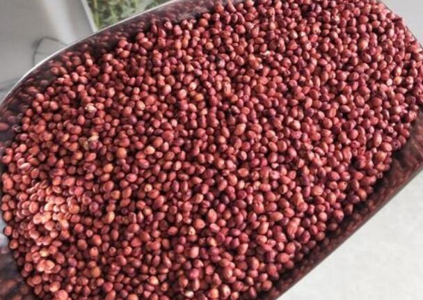 1657259739732382.jpg 5.jpg