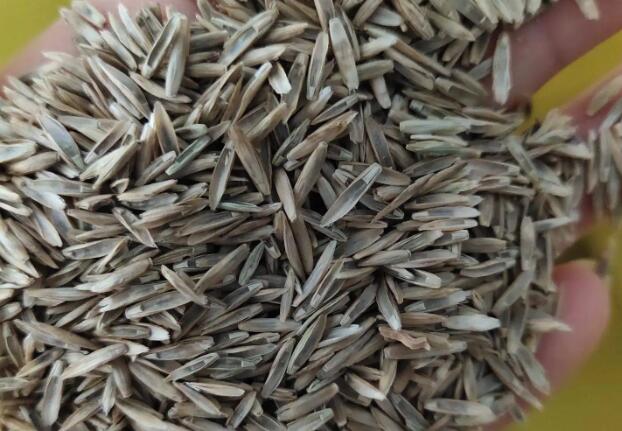 1657261722301210.jpg 1+++.jpg