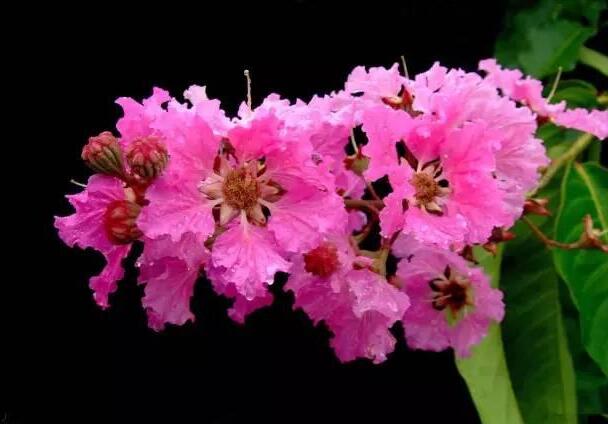 1658284564663900.jpg 5.jpg