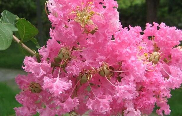 1658284601826738.jpg 5++.jpg