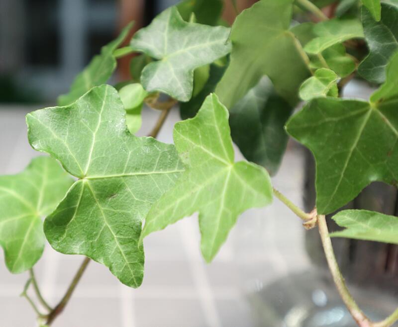 1658454685516387.jpg 1.jpg