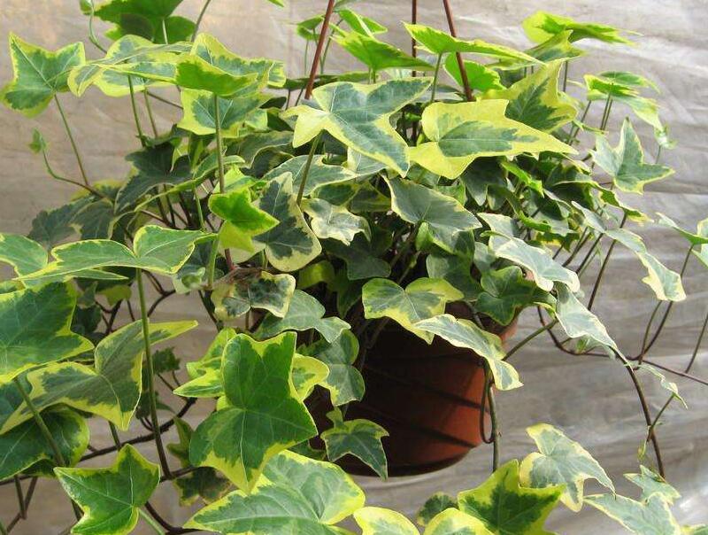 1658454693884393.jpg 2.jpg