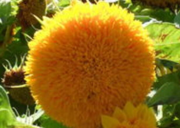 1658483118933093.jpg 6.jpg