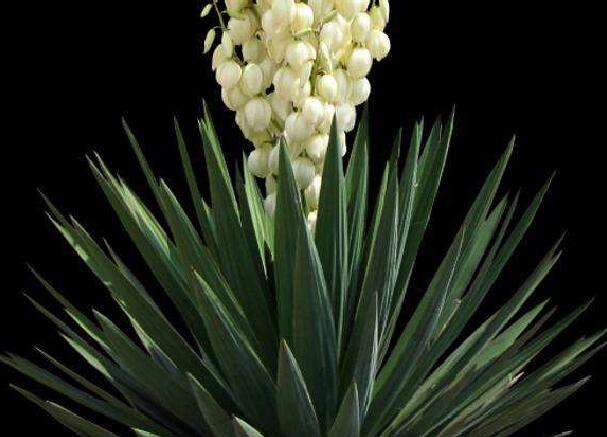 1658847209560691.jpg 8.jpg