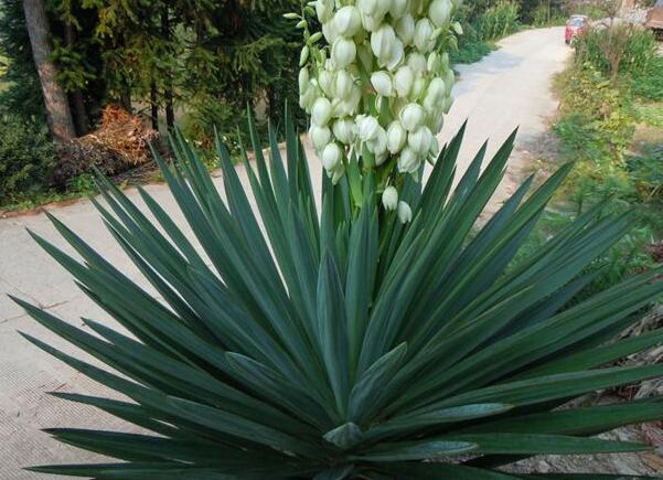 1658847224485733.jpg 8+.jpg