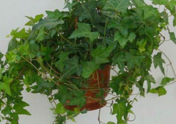 1659191605436130.jpg 9++.jpg