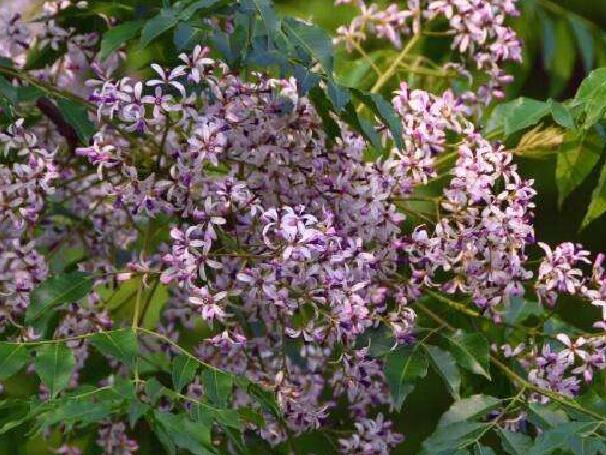 1659688958347683.jpg 3.jpg