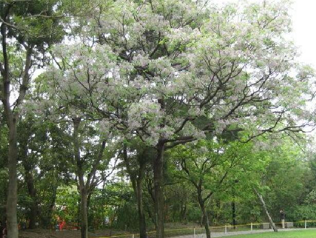 1659688987222359.jpg 3++.jpg