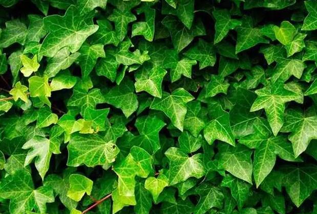 1661080676419472.jpg 0.jpg