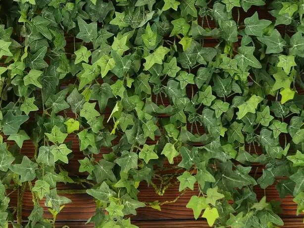 1661080687789184.jpg 0+.jpg