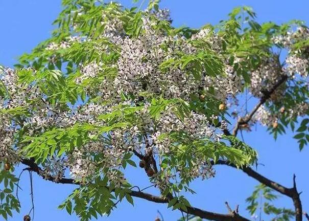 1661179624964940.jpg 0.jpg