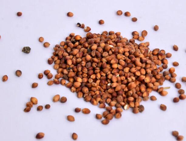 1661689893131738.jpg 7.jpg