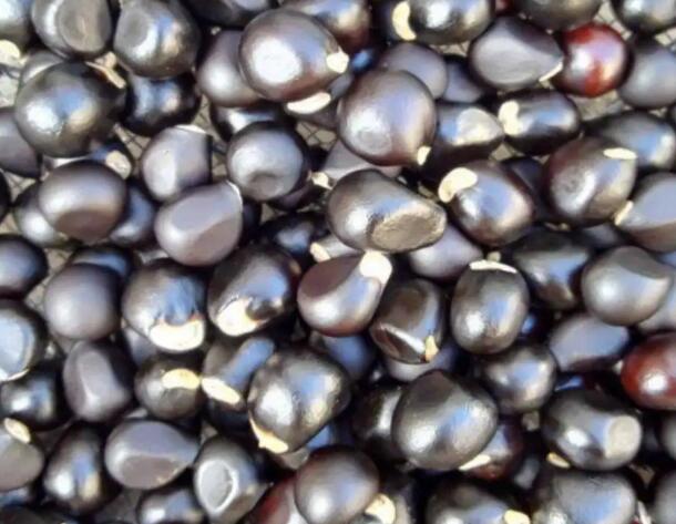 1661782579754576.jpg 8.jpg