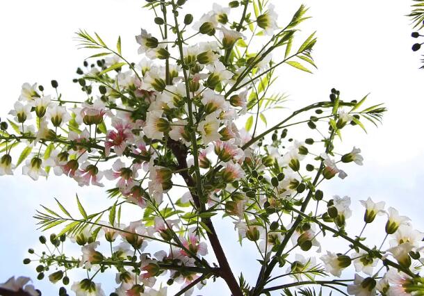 1661782596484195.jpg 8+.jpg