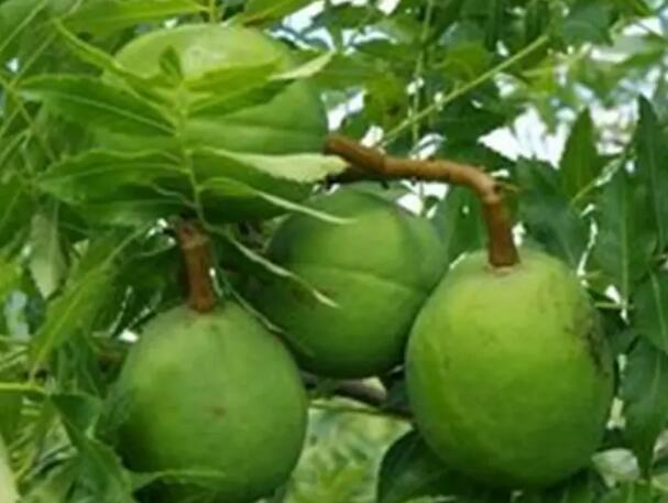 1661782610285510.jpg 8++.jpg