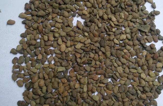 1661784382308431.jpg 3.jpg