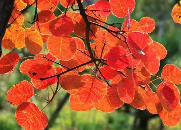 1661784396637844.jpg 3+.jpg