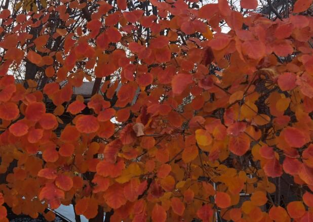 1661784407628949.jpg 3+++.jpg