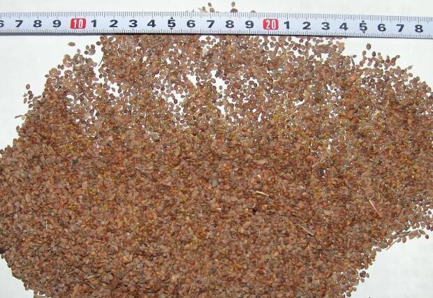 1661786736348767.jpg 7.jpg