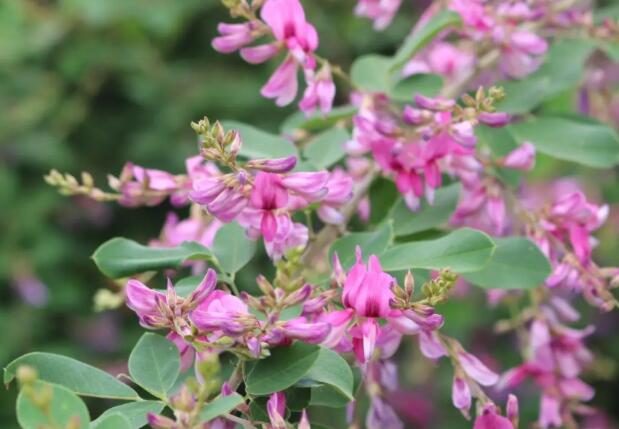 1661786750417375.jpg 7+.jpg