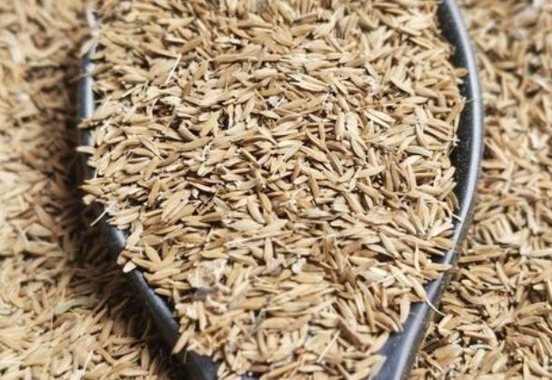 1661787044842645.jpg 6.jpg