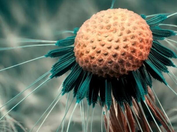 1661787058342703.jpg 6+.jpg