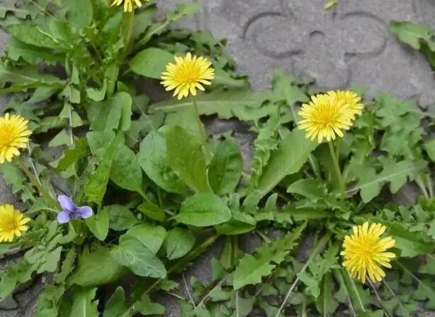 1661787068288066.jpg 6++.jpg