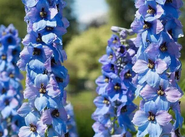 1662132842302307.jpg 2++.jpg