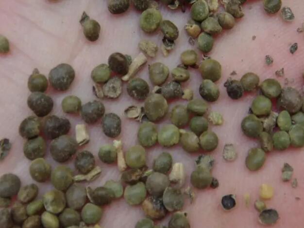 1662136396926943.jpg 2.jpg