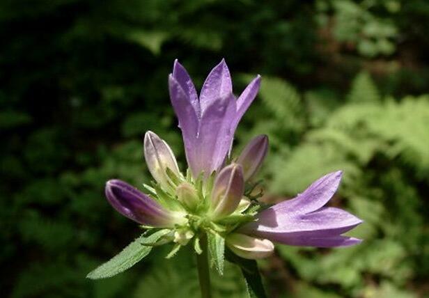 1662136425516834.jpg 2++.jpg