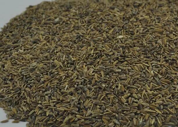 1662299585392214.jpg 9.jpg