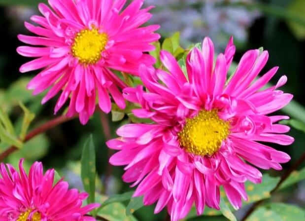 1662299599726805.jpg 9+.jpg