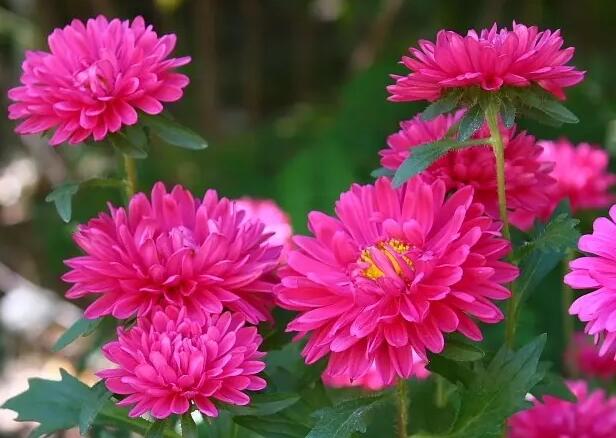 1662299611222053.jpg 9++.jpg