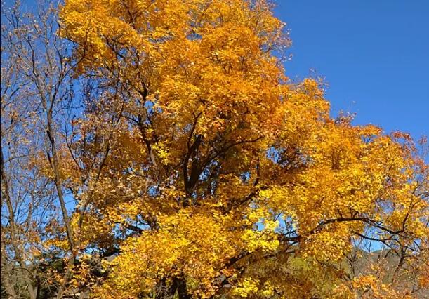 1662384227923819.jpg 9++.jpg