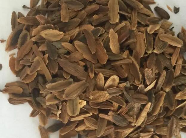 1662385207891905.jpg 6.jpg