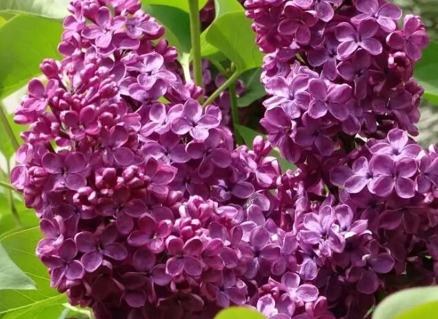 1662385219417924.jpg 6+.jpg