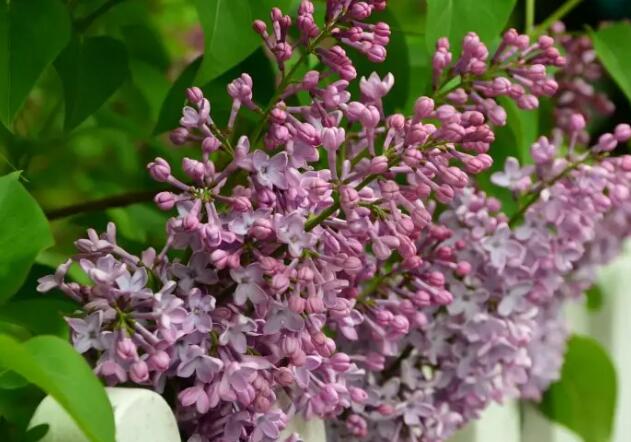 1662385232282617.jpg 6++.jpg