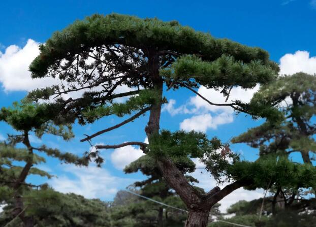 1662566945102359.jpg 000.jpg