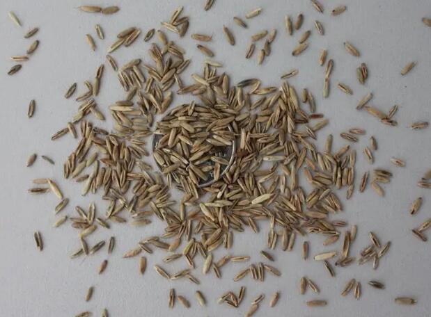 1662650380112318.jpg 2.jpg