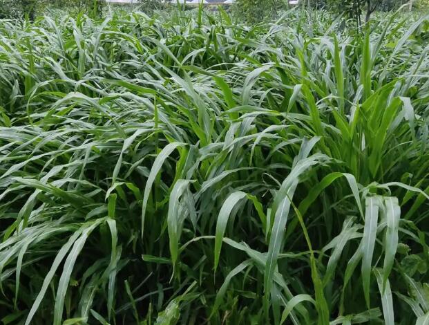 1662650398555127.jpg 2+.jpg