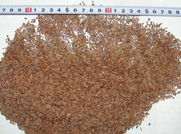 1662805119389553.jpg 2.jpg