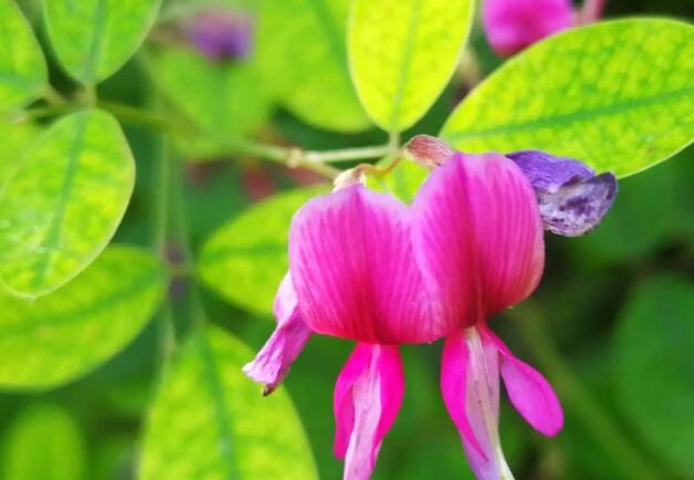 1662805141480453.jpg 2++.jpg